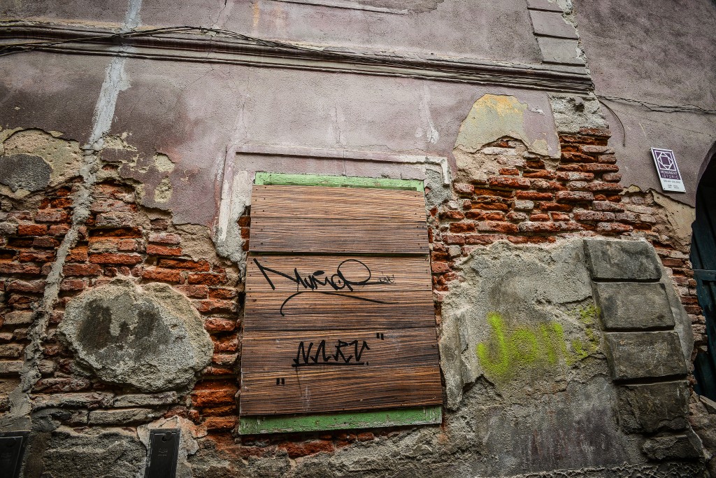 DSC_4901
