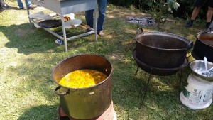 IMG_20150829_130437581
