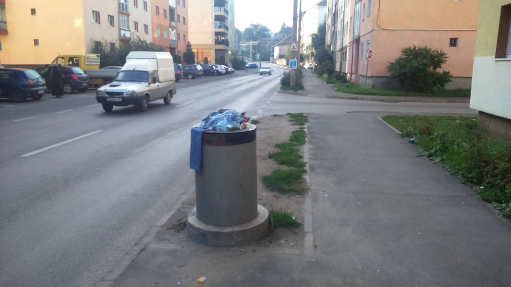 cosuri gunoi resturi menajere_foto primaria Sibiu (1)