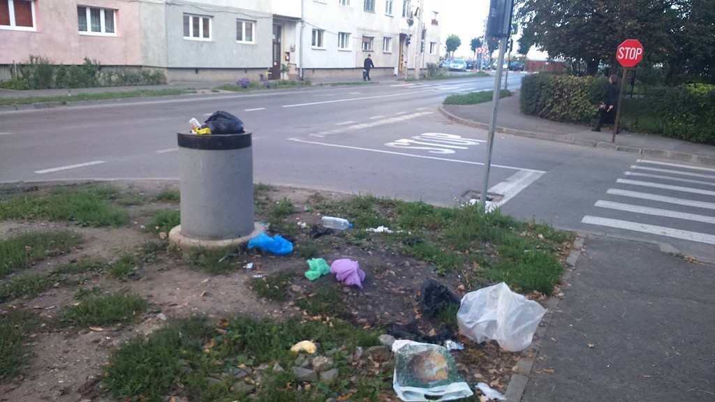 cosuri gunoi resturi menajere_foto primaria Sibiu (3)