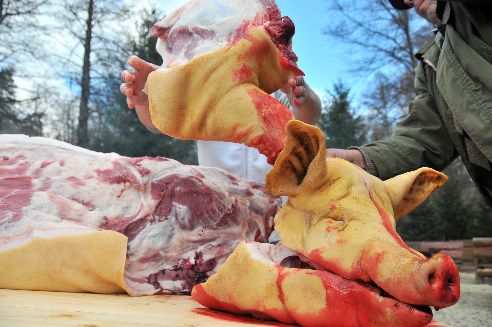 ignat taiere porc craciun traditii (11) (Copy)