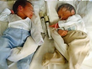 12243435_529444153887407_8020234798959281218_n