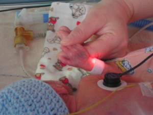 12246956_529456953886127_2642828950552551208_n