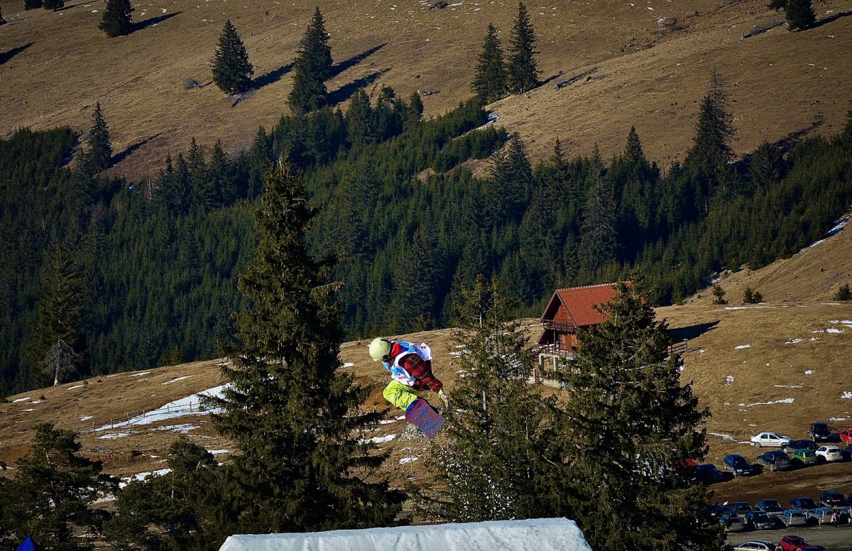 freestyle arena platos (3) (Copy)