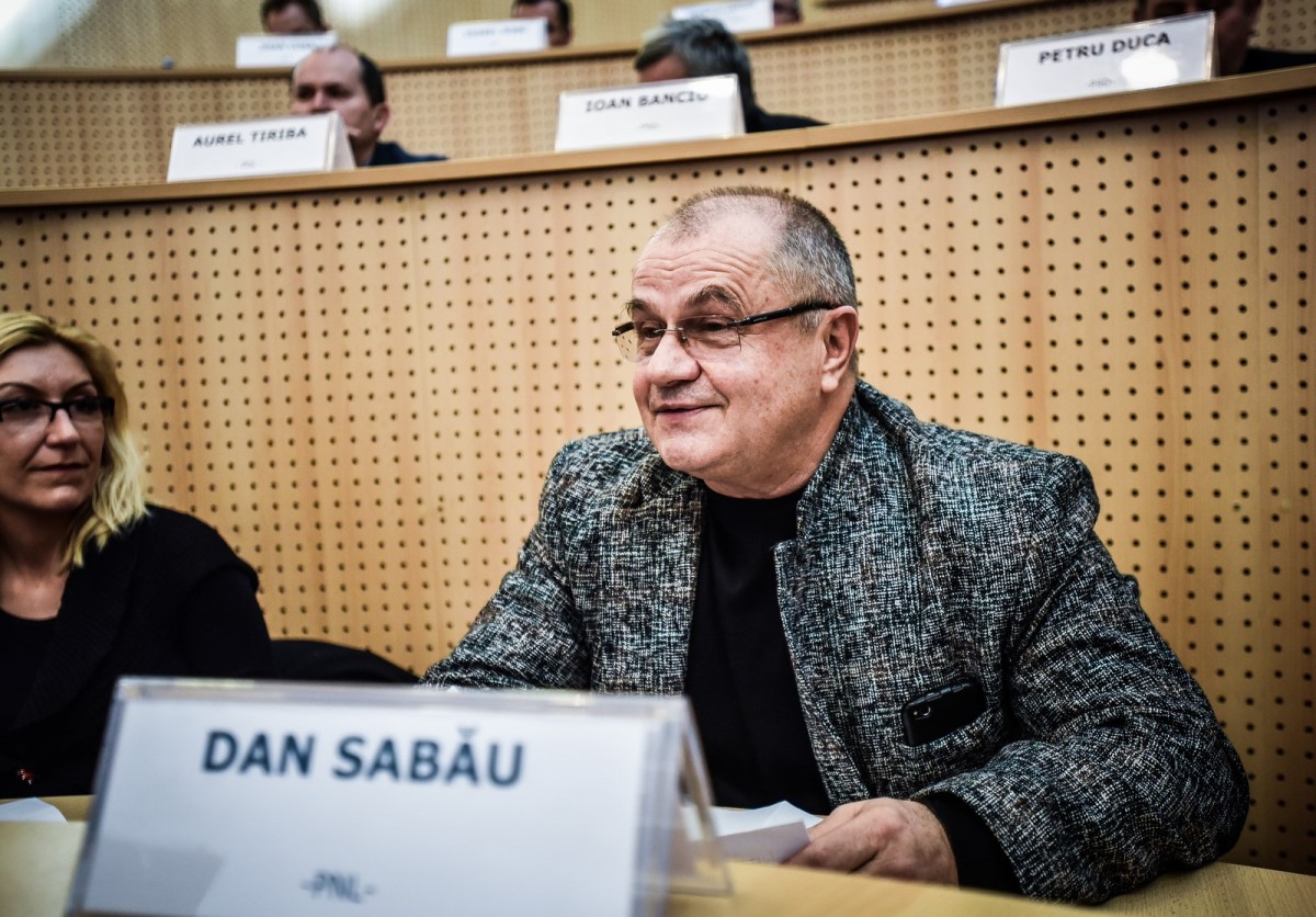 consiliul judetean sabau (12) (Copy)