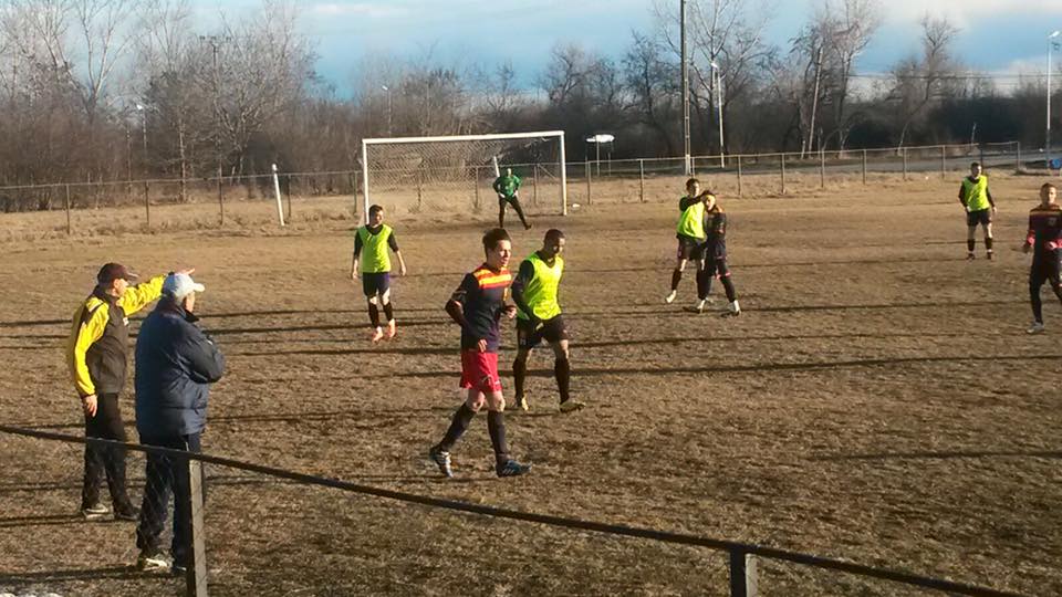 fc hermannstadt