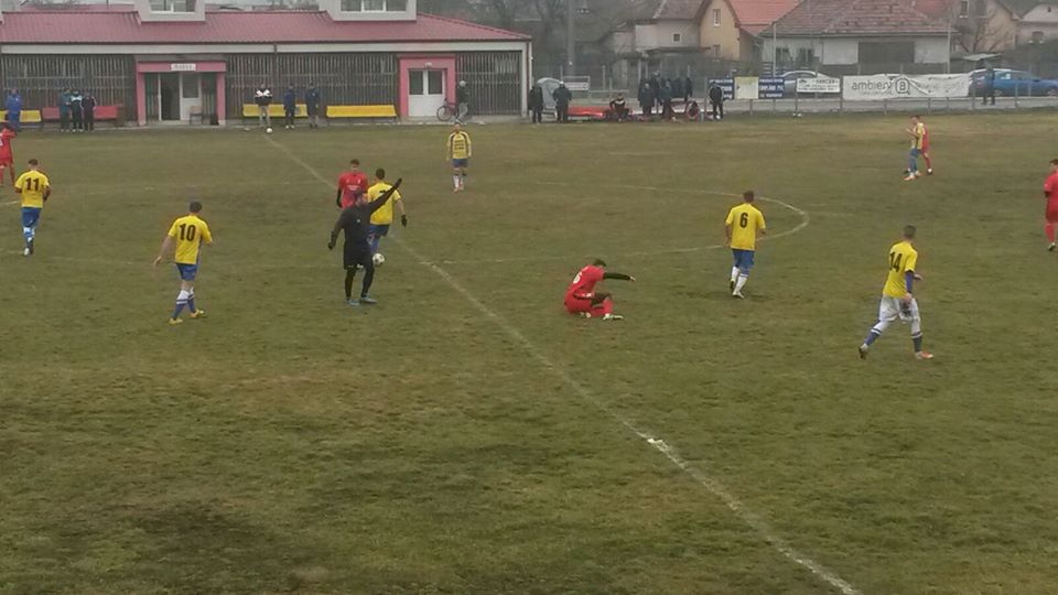 fc hermannstadt