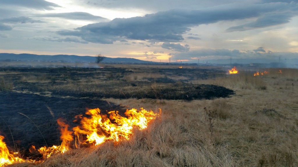 incendiu 2