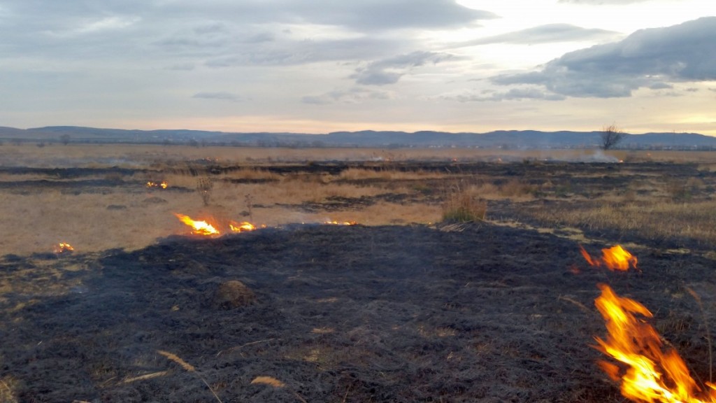 incendiu 4