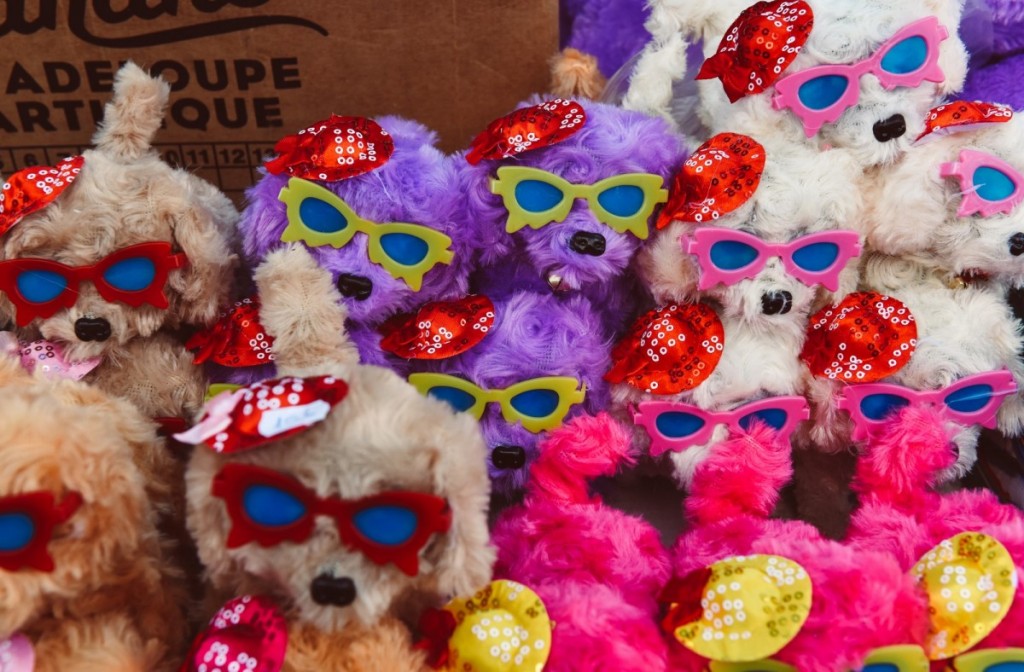 valentines day centru balcescu (10)