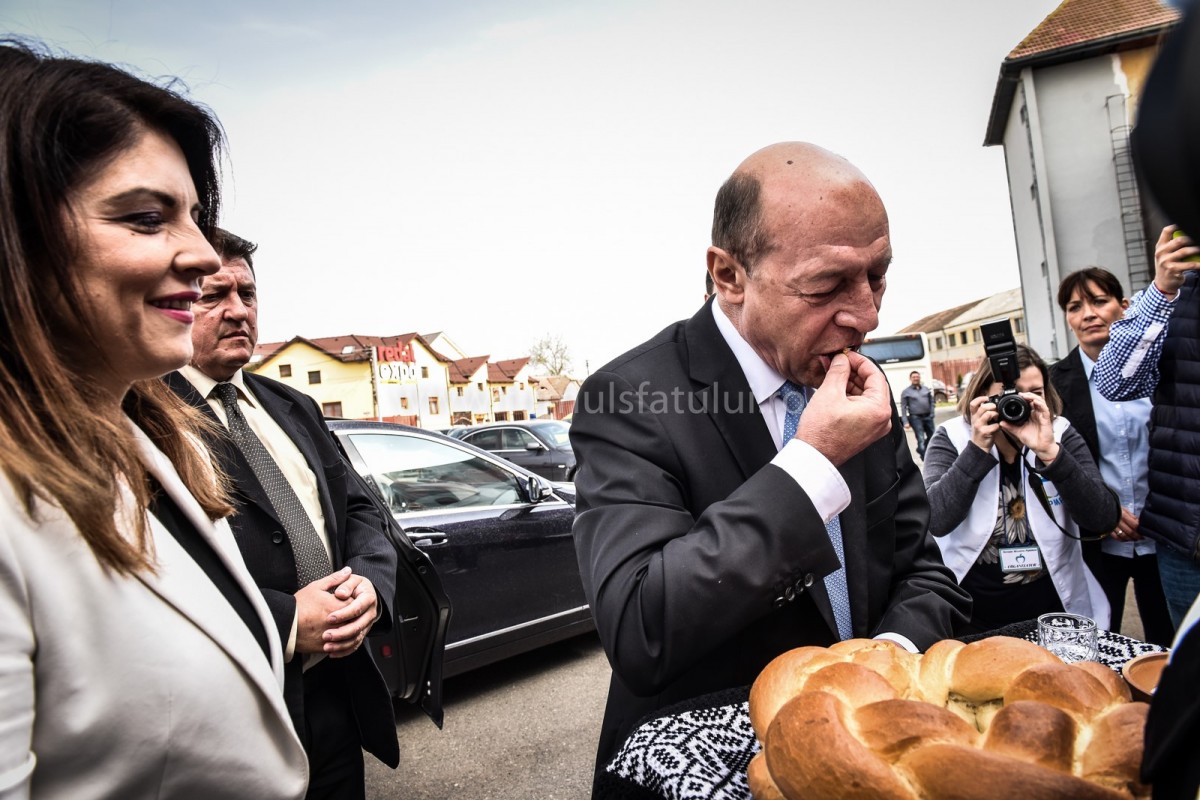 basescu (4) (Copy)