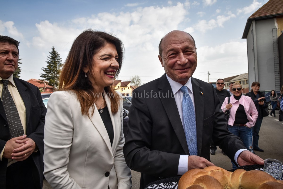 basescu (8) (Copy)