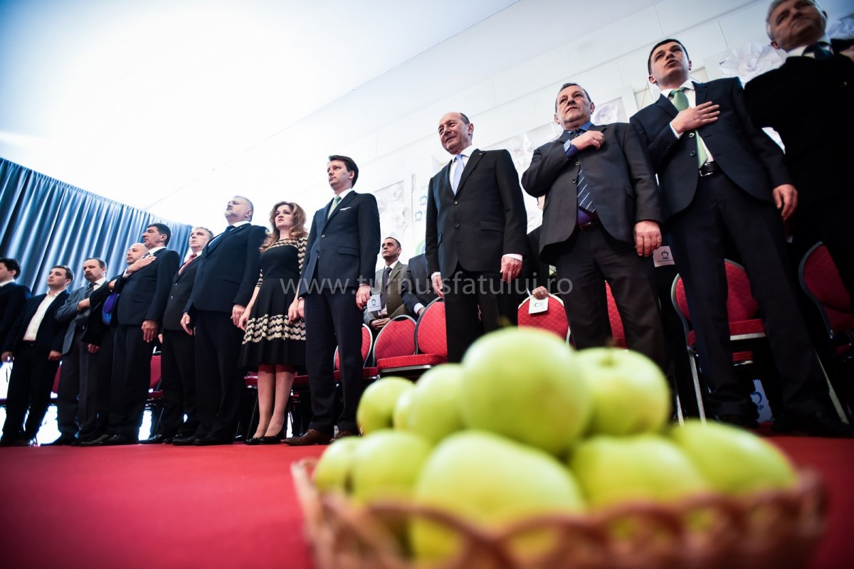 basescu (9) (Copy)