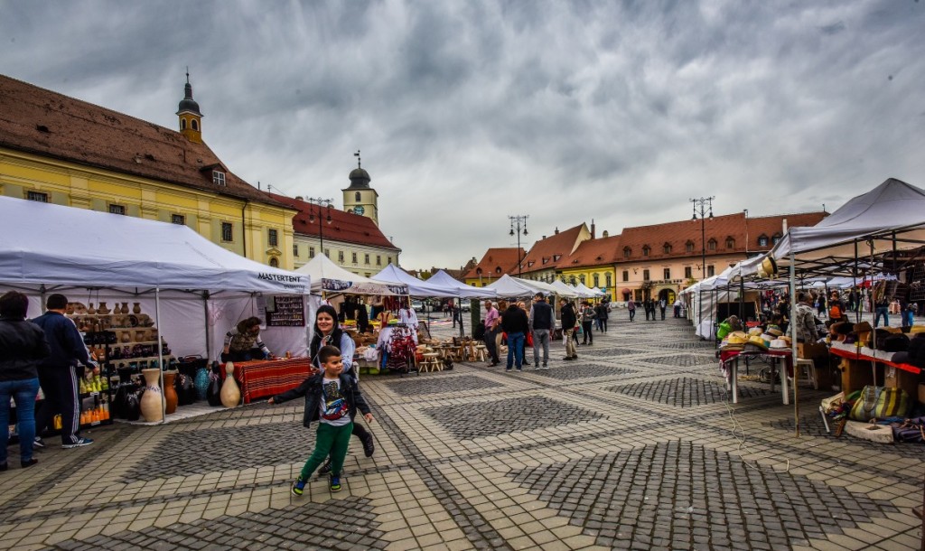 zilele romilor piata mare (5)