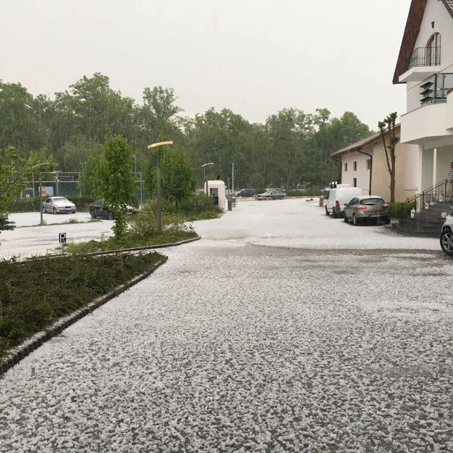 13140530_1352726748078260_597380540_n