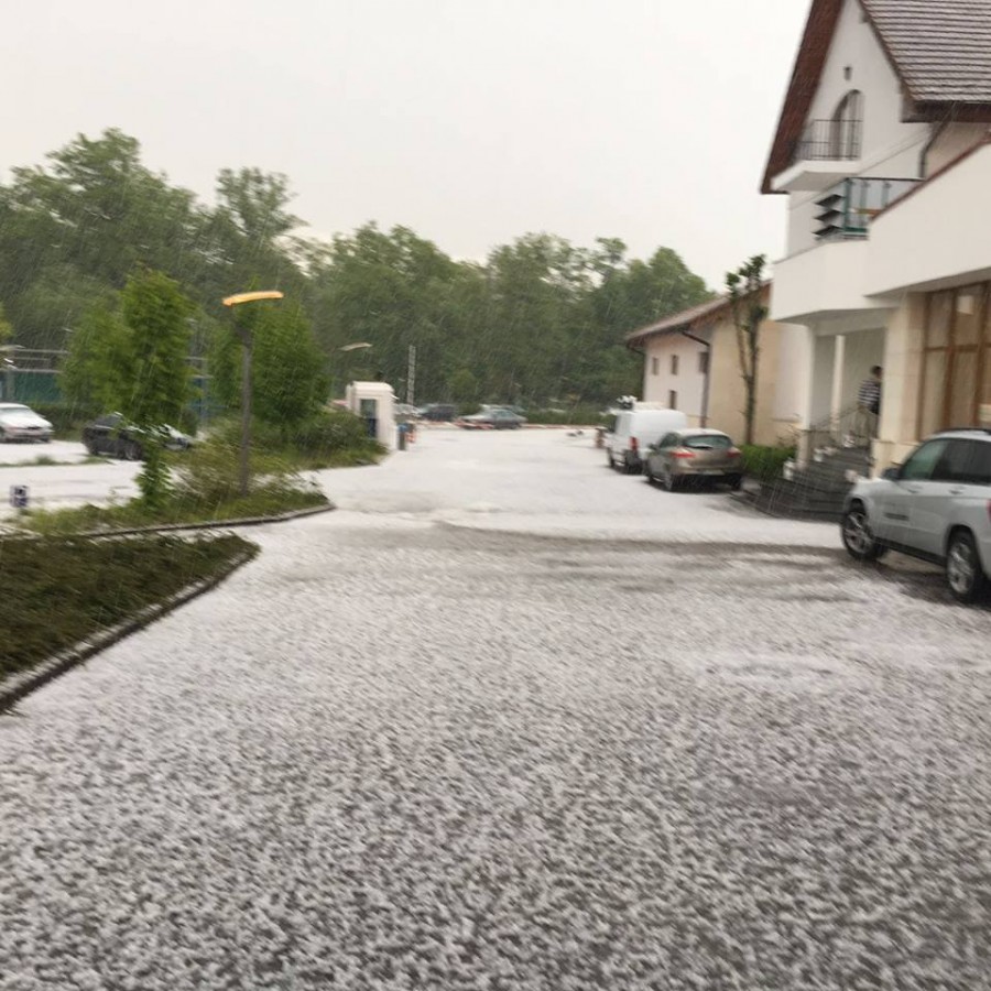 13140918_1352726744744927_1733351793_n