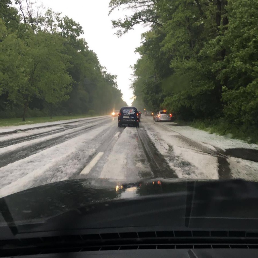 13153293_1352726761411592_1616677191_n