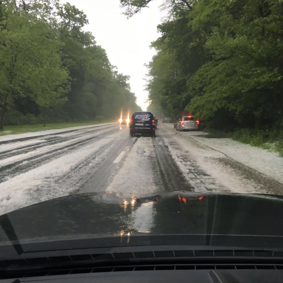 13183054_1352726764744925_1976213802_n