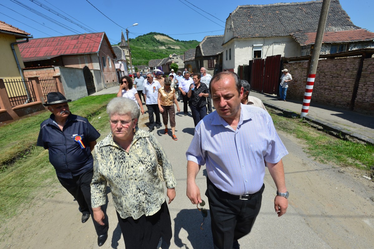 mihalache dudu copsa mica