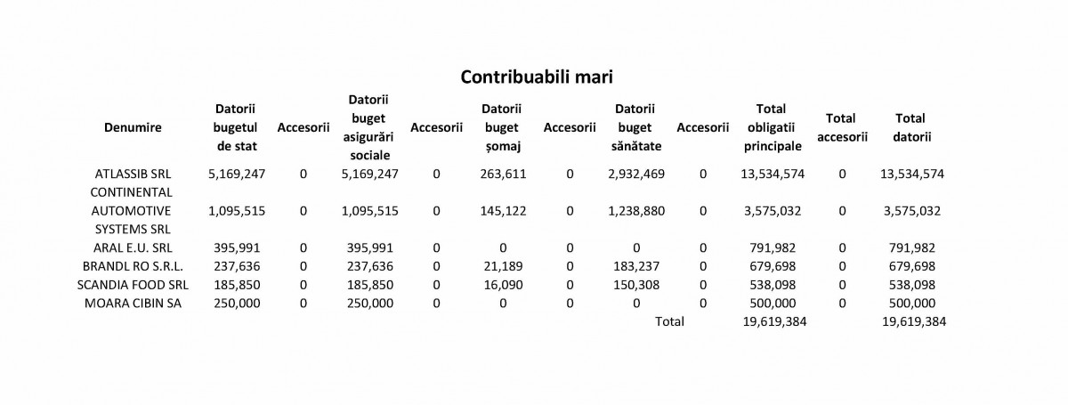 datornici contribuabili mari