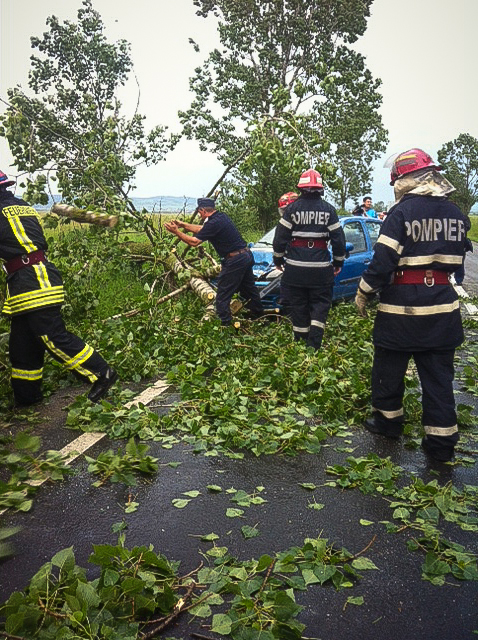 ISU ploaie copaci cazuti furtuna (29)