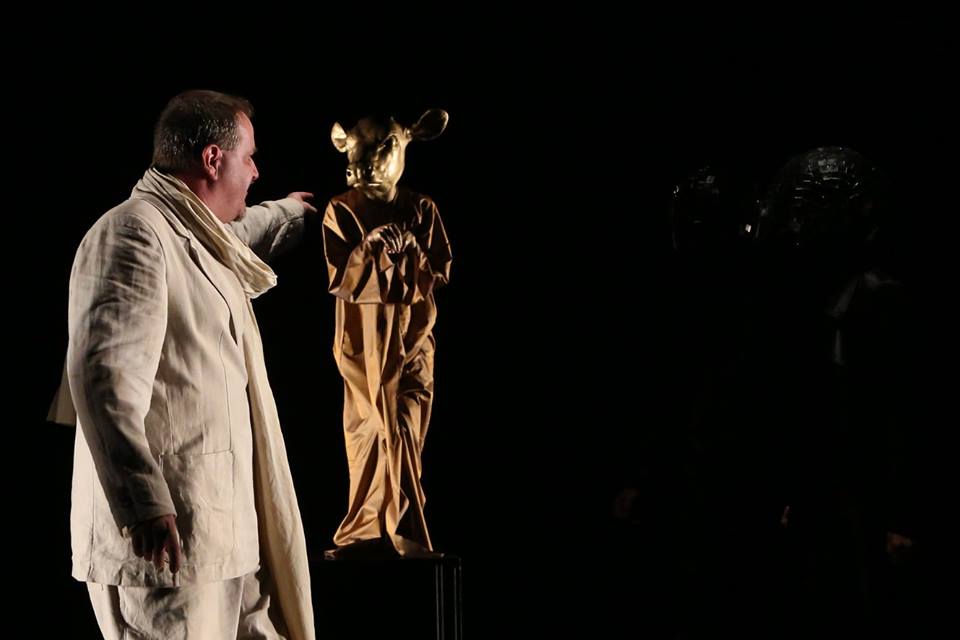 13432156_1191230034220549_4149731260402397606_n