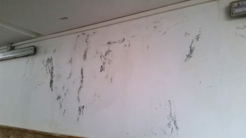 pasaj gara infiltratii apa (2)