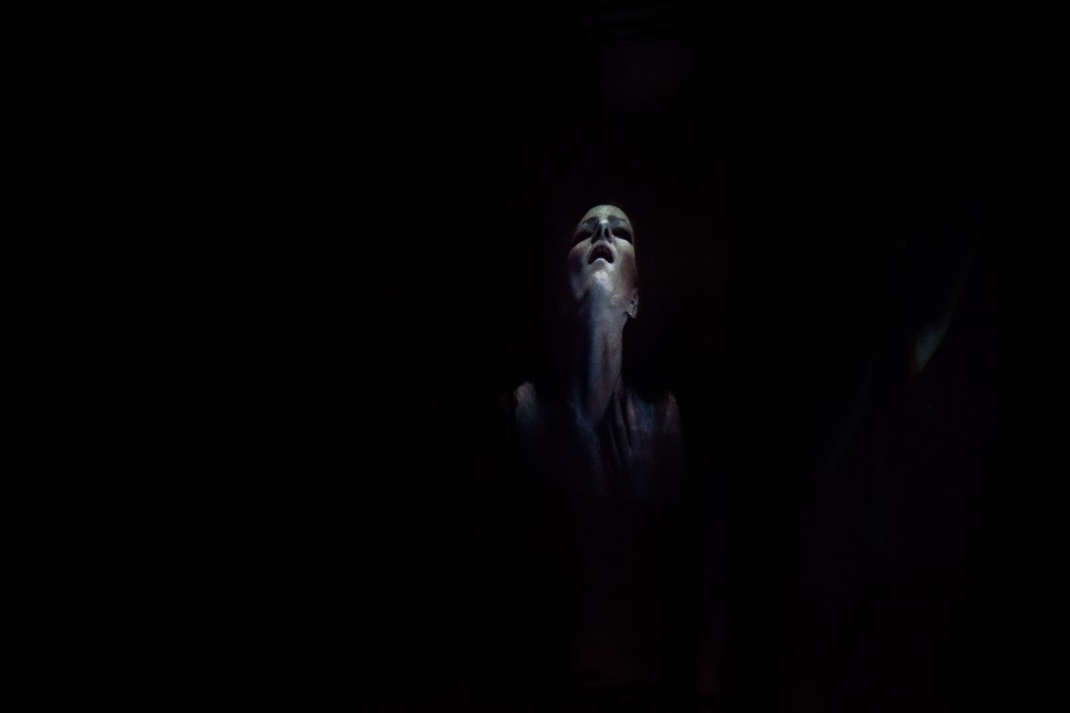 vernisaj Human Body (3)