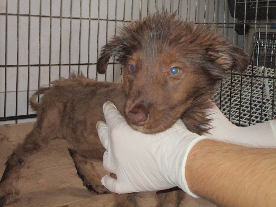 13654234_10154338733143491_7236135295906522464_n