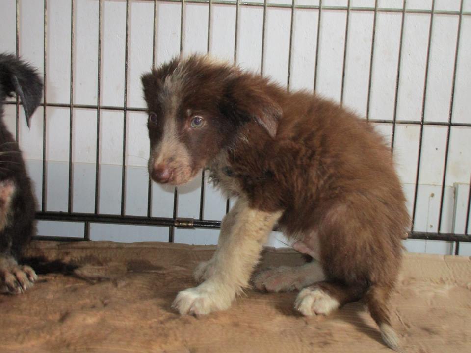 13876146_10154338734403491_3453762685165421987_n