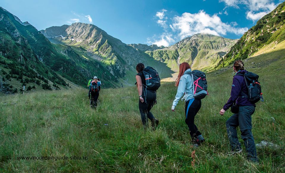 micile afaceri MountainGuide (2)