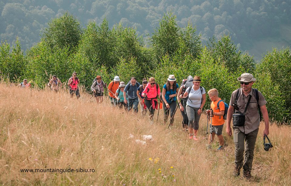 micile afaceri MountainGuide (5)