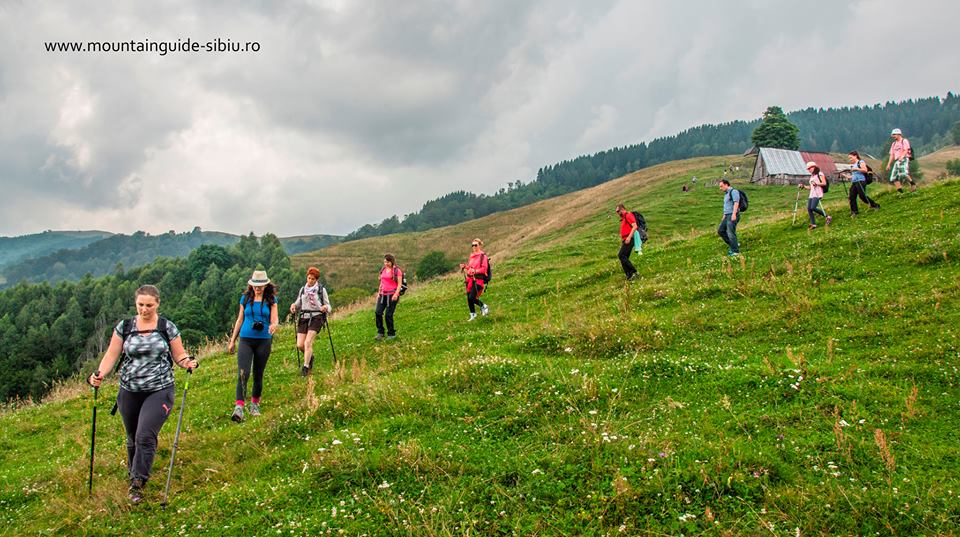 micile afaceri MountainGuide (9)