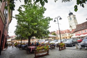 terase sibiu (19)