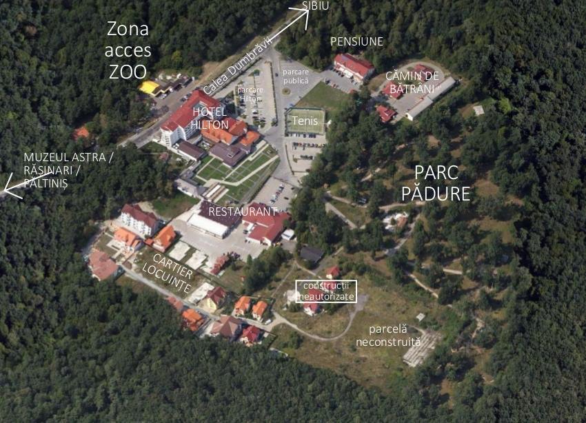 situatia actuala padurea dumbrava