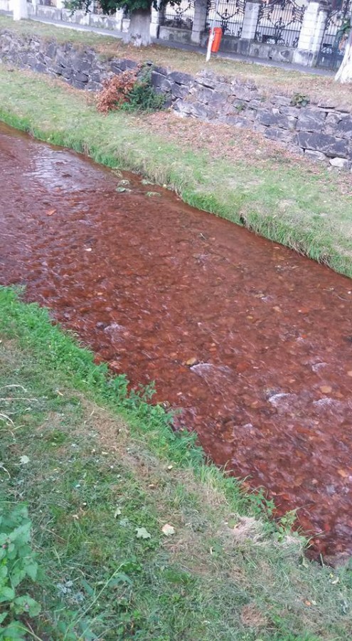 rau rosu saliste (7)