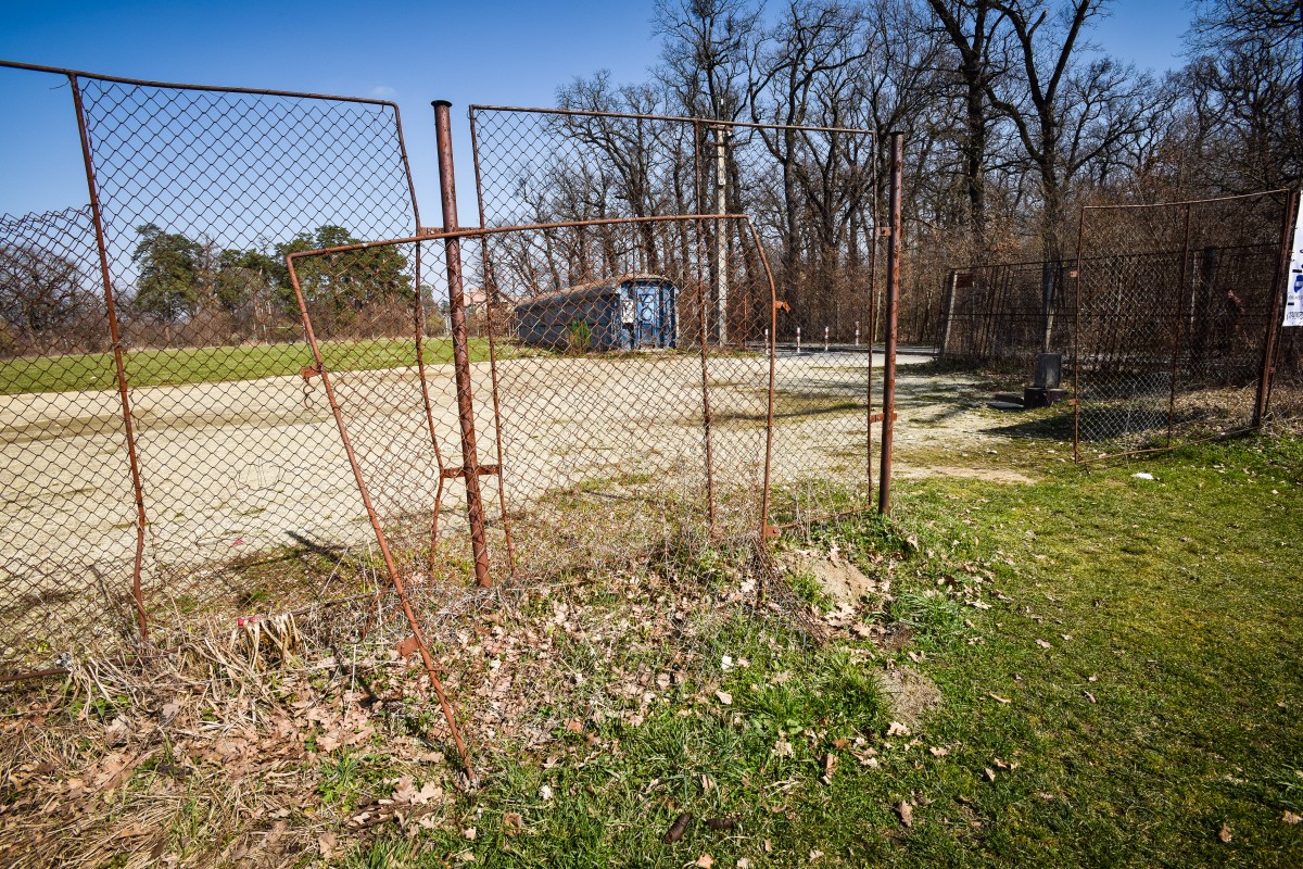 stadion rugby bebe boboc (3)