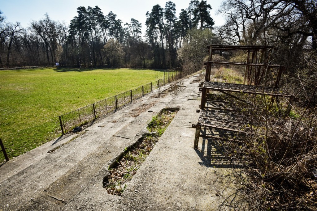 stadion rugby bebe boboc (4)