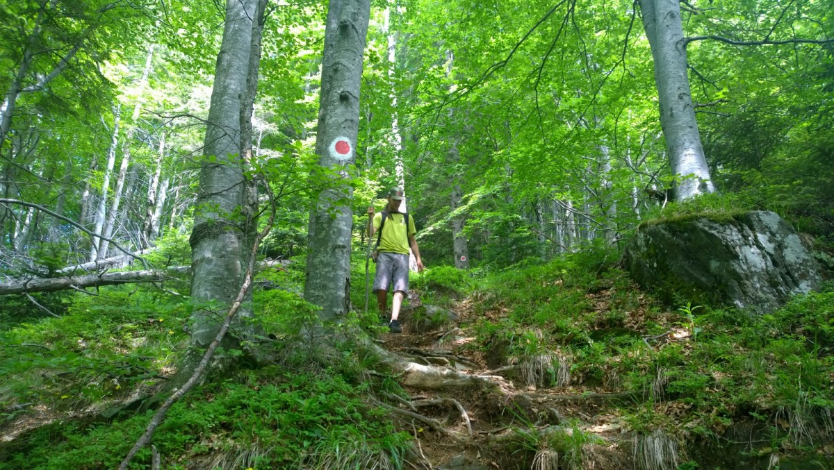 valea-moasei-21-copy