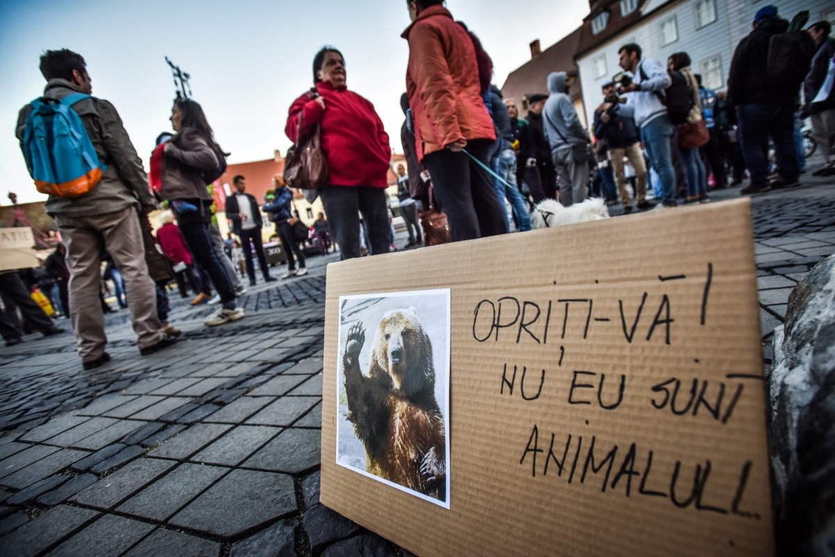 protest-urs-sibiu-site-14