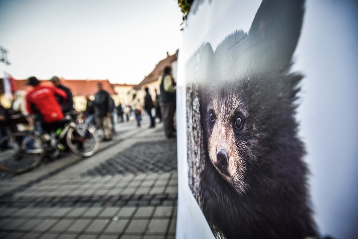 protest-urs-sibiu-site-48