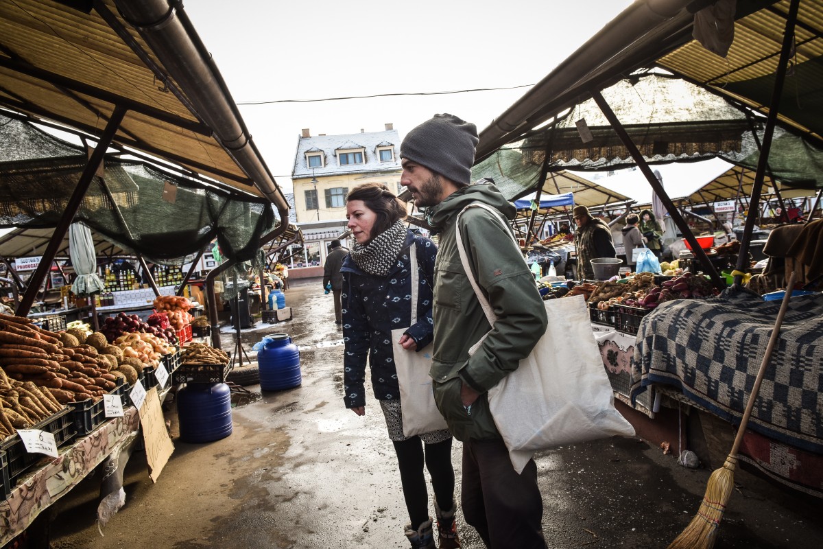 ioana-tanase-alternative-pungi-1