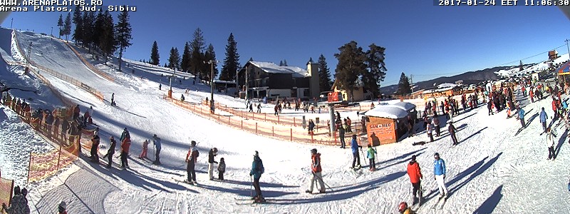 arena webcam
