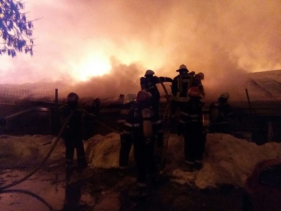 incendiu bamboo