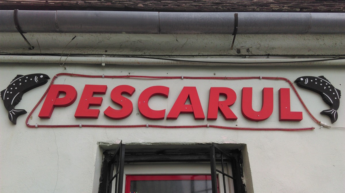 magazin pescuit la pescarul mici afaceri (6)