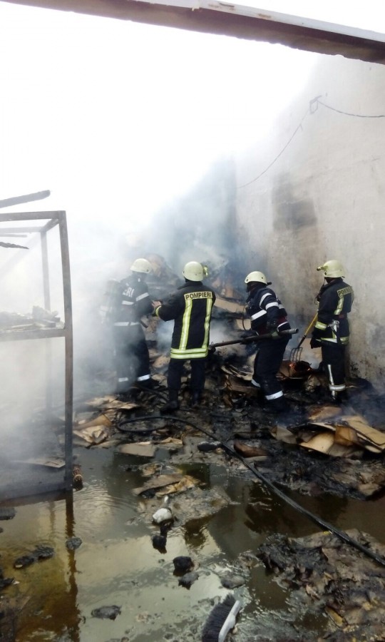 incendiu ISU pompieri (5)