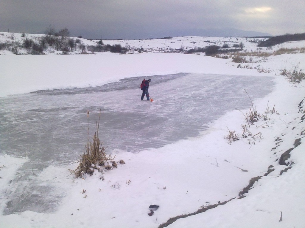 12562452_1677434245840833_149773700_o