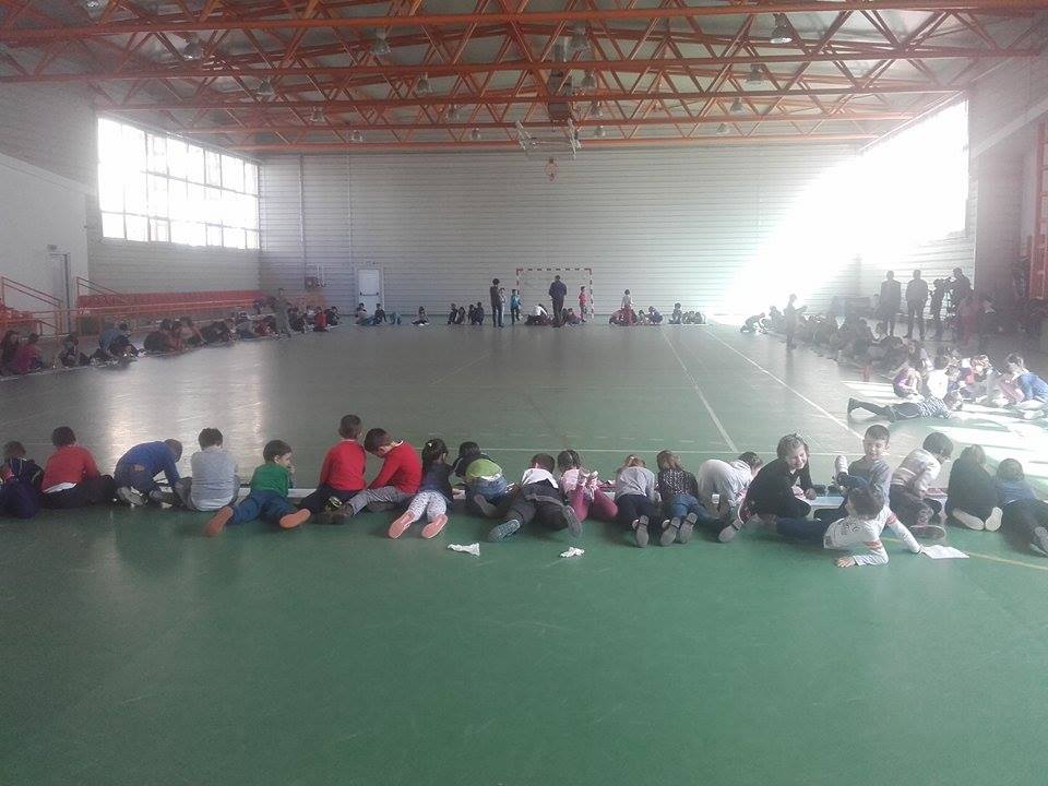 17409725_1289287961164946_1493788552_n