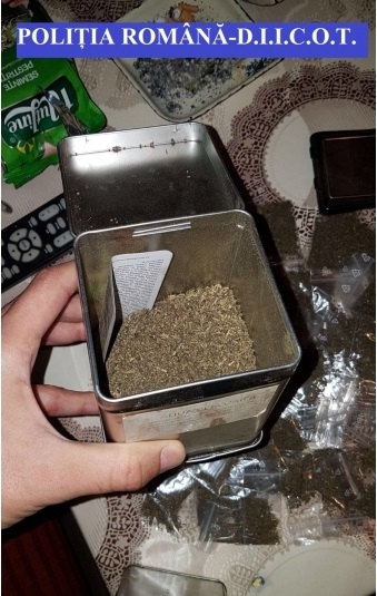 canabis marijuana trafic droguri (1)