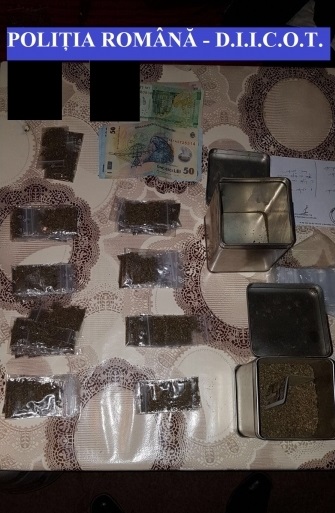 canabis marijuana trafic droguri (3)
